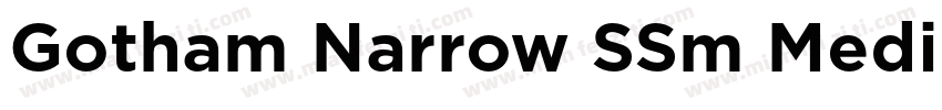 Gotham Narrow SSm Medium字体转换